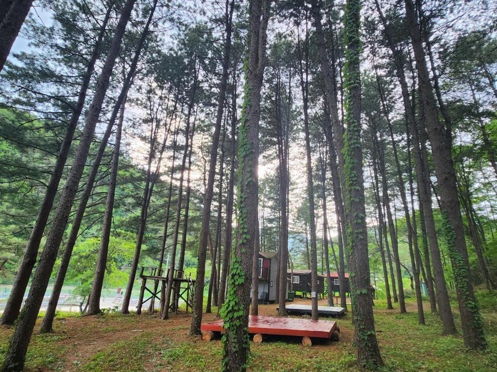 Hongcheon Gongjaksan Recreational Forest Pension Buitenkant foto